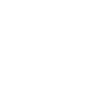 Medlem i Revisorforeningen