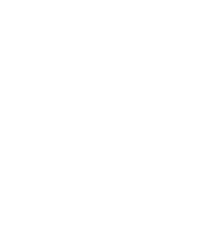 Medlem i Revisorforeningen